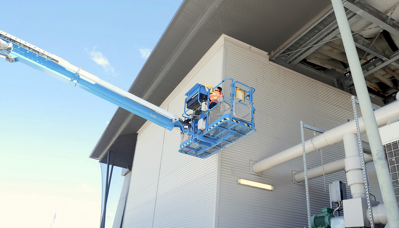 Example of Bird Netting 