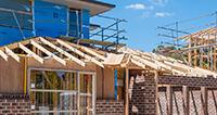 Pest Control For Pre-Construction
