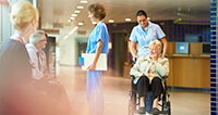 Pest Control For Aged Care